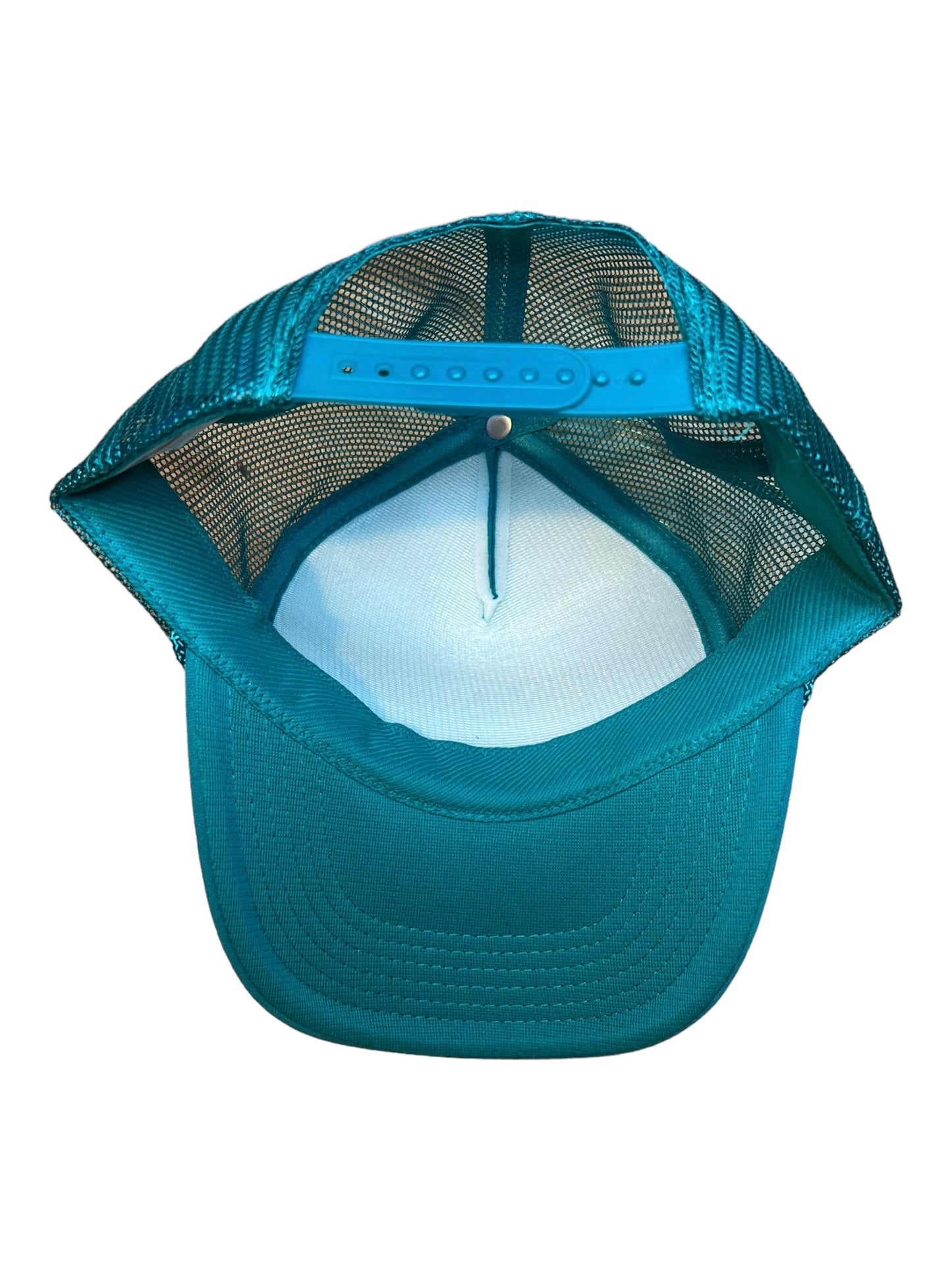 All This And A Nice Dick Too Funny Trucker Hat Teal