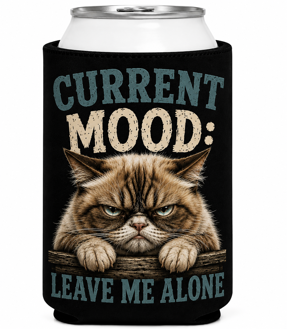 Current Mood: Leave Me Alone Cat Can Cooler