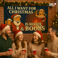 All I Want For Christmas Is Booze & Boobs Funny Flag 3x5 Wall Decor Funn wall Banner
