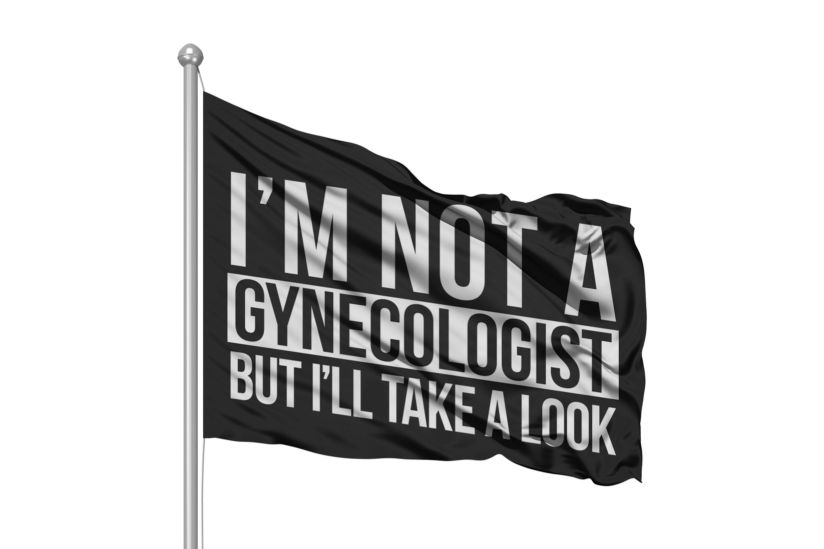 I'm Not A Gynecologist But I'll Take A Look Flag 3x5 Wall Decor Banner